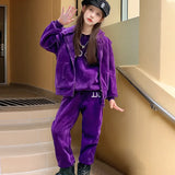 Girls Purple Alphanumeric Printed Sweatshirt With hooded Vest & jogger Co-ord Sets