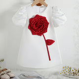 Girls White Pearl Embellished A-line Party Dress With 3D Flower applique