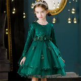 Girls Embroidered Knee Length Tutu Dress