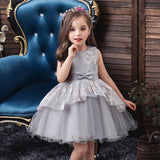 Girls Grey Sleeveless Embroidered Party Wear Balloon Dress