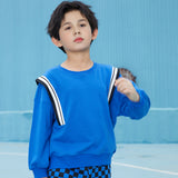 Boys Blue Striped Long Sleeves Sweatshirt