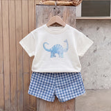 Boys White Short Sleeve Dinosaur Print T-Shirt With Checked Shorts Sets