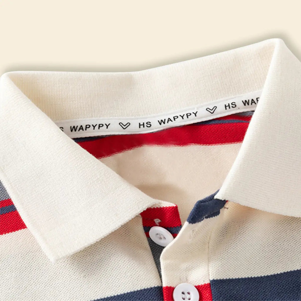 Boys Multicolor Stripes Polo T-Shirt With Short Sleeves Tshirts
