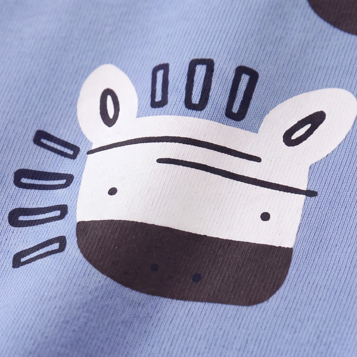 Boys Light Blue Graphic Round Neck Sweatshirt Sweatshirts & Hoodies
