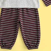 Girls Grey Graphic T-Shirt With Striped Pants Sets Sets