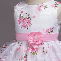 Girls Light Pink Floral Print Fit & Flare Party Wear Dress Party Dresses