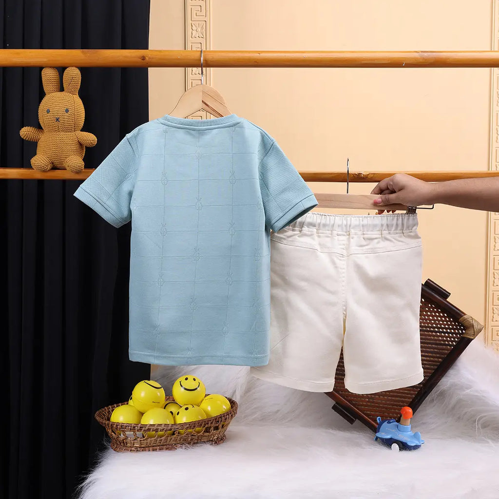 Boys Light Blue Bear Motif Short Sleeve T-Shirt With Shorts Sets Sets