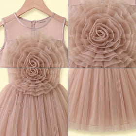 Girls Light Brown Floral Applique Sleeveless Party Gown Party Dresses