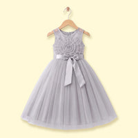 Girls Light Grey Floral Applique Party Gown Party Dresses Light Grey 2-3 Y