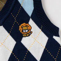 Boys Multicolor Sweater Vest With Self-Design Diamond Patterns Sweaters & Cardigans