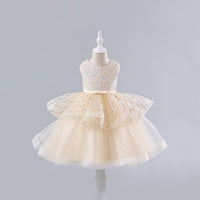 Girls Sequins Embellished Fit & Flare Party Dress Party Dresses Beige 4-5 Y 