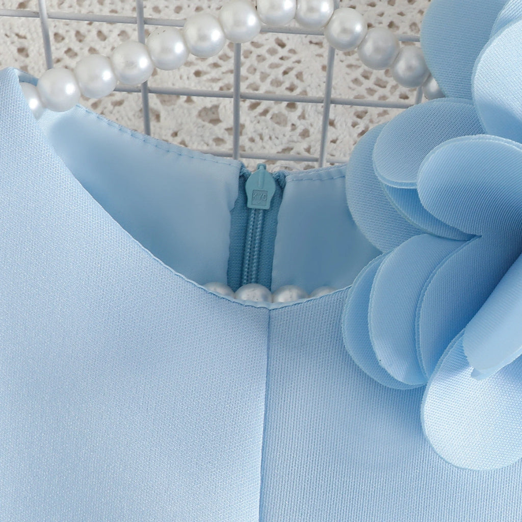 Girls Sky Blue Solid A-line Party Dress With Flower Appliques Party Dresses