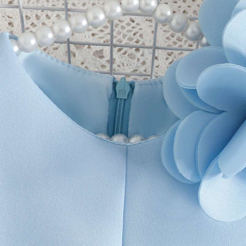 Girls Sky Blue Solid A-line Party Dress With Flower Appliques Party Dresses