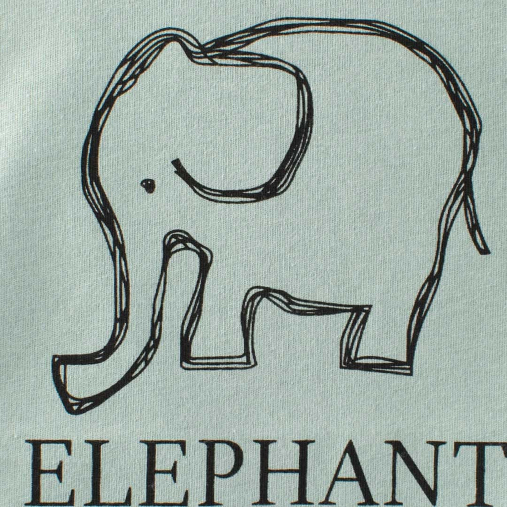 Boys Elephant Print Raglan Sleeves T-Shirt Tshirts   