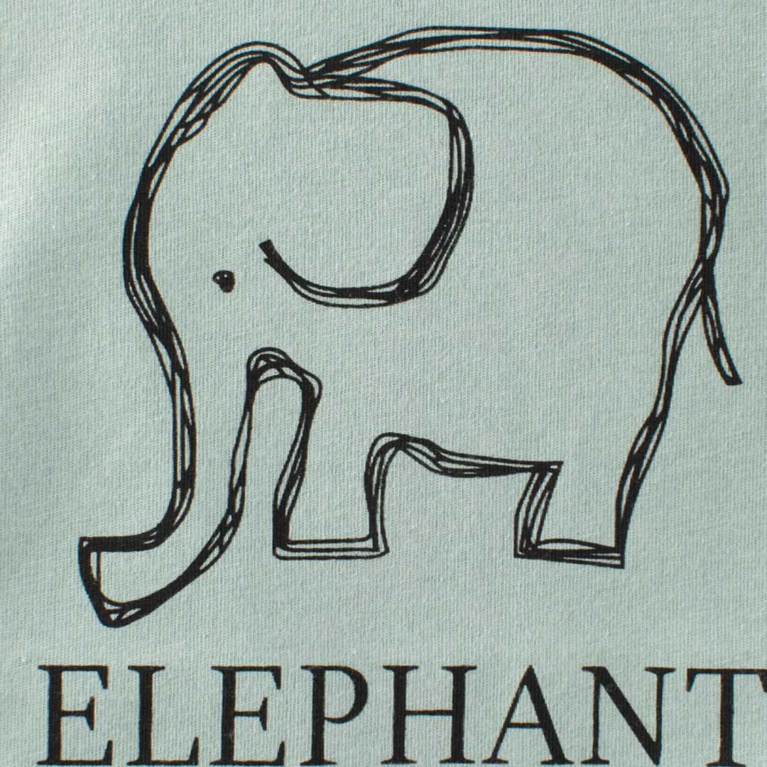 Boys Elephant Print Raglan Sleeves T-Shirt Tshirts   