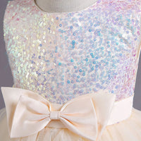 Girls Champagne Sequin Embellished Tutu Party Wear Dress Party Dresses
