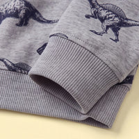 Boys Grey Dinosaur Print Round Neck Sweatshirt Sweatshirts & Hoodies