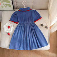 Girls Blue Strawberry Applique Puff Sleeve A-Line Dress Casual Dresses
