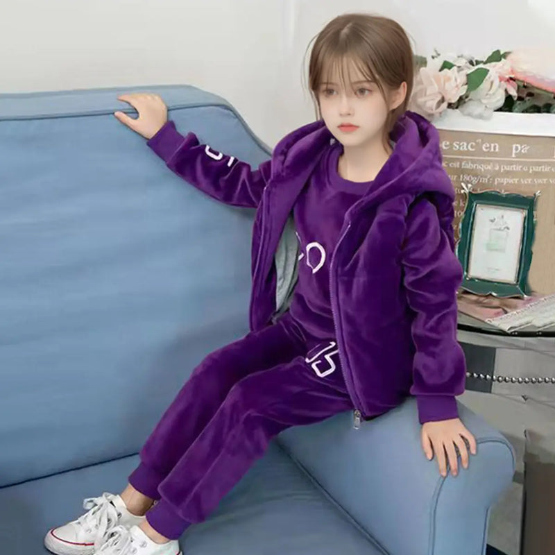Girls Purple Alphanumeric Printed Sweatshirt With hooded Vest & jogger Co-ord Sets Sets
