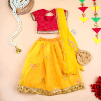 Girls Fuchsia Sequins Choli with Amber Embroidered Lehenga Set Ethnicwear Girls