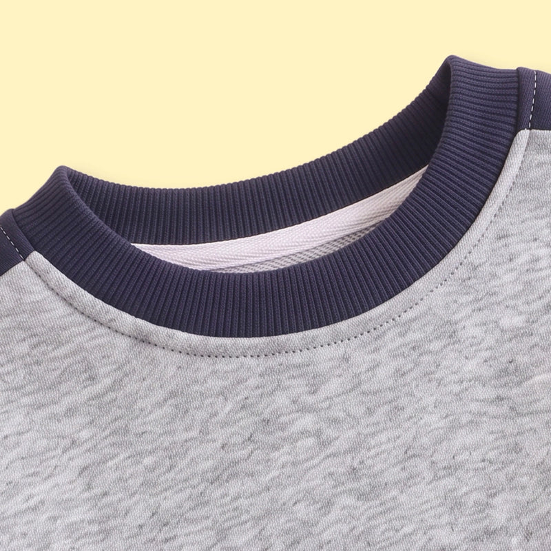 Boys Grey Colourblocked Long Sleeve Sweatshirt Sweatshirts & Hoodies