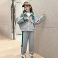 Girls Grey Bear Embroidered Zipper Jacket With Jogger Co-ord Sets Sets Grey 5-6 Y