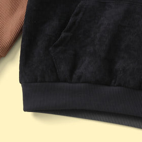 Boys Brown Colour-blocked Hooded Sweatshirt Sweatshirts & Hoodies