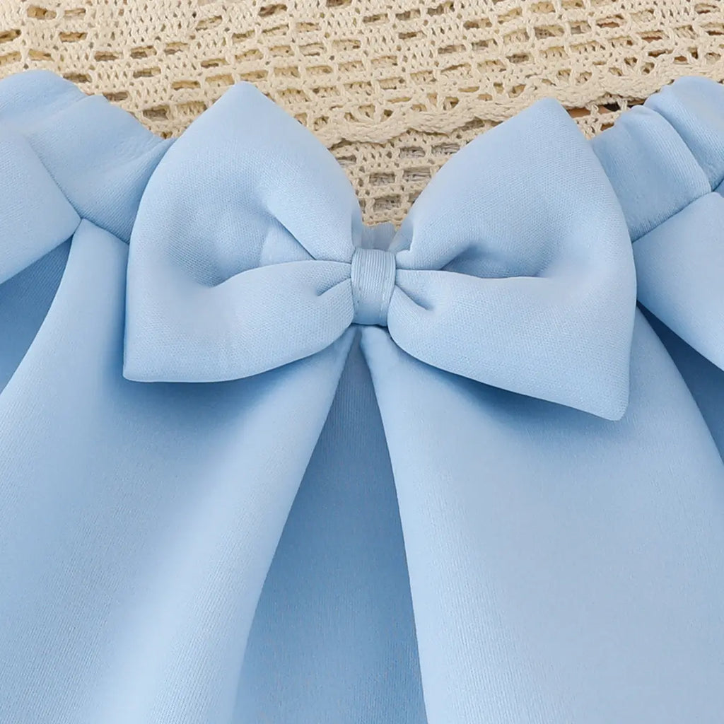 Girl 3D Flower Applique Top With Light Blue Bow Applique Skirt Sets Sets