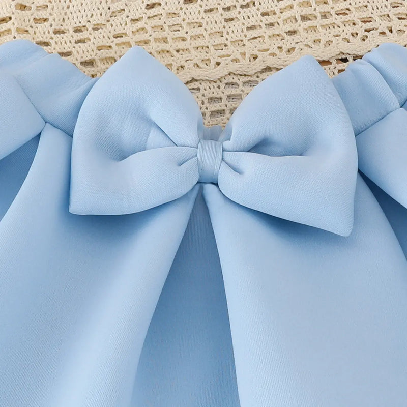 Girl 3D Flower Applique Top With Light Blue Bow Applique Skirt Sets Sets