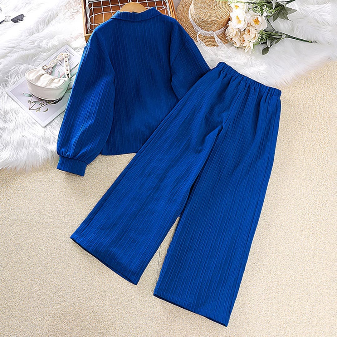 Girls Blue Textured Long Sleeve Shirt With Pants Set Sets   