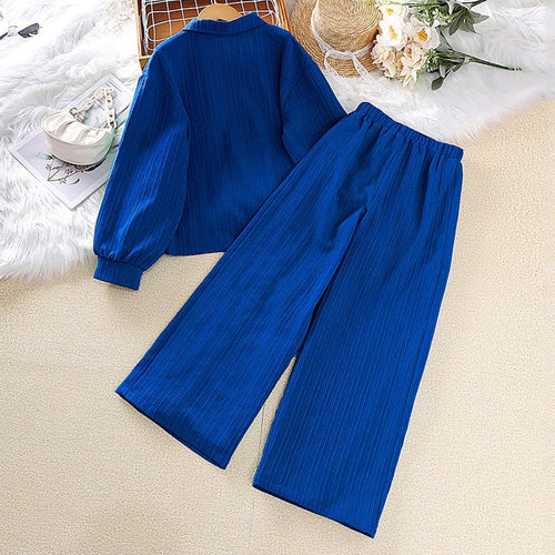 Girls Blue Textured Long Sleeve Shirt With Pants Set Sets   