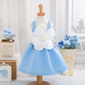 Girls Sky Blue Floral Applique Fit & Flare Party Dresses Party Dresses Sky Blue 2-3 Y