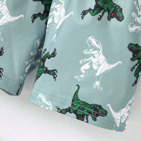 Boys Light Green Dinosaur Graphic Short Sleeve T-Shirt With Shorts Sets 2 pc. Sets