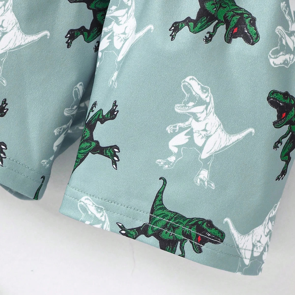 Boys Light Green Dinosaur Graphic Short Sleeve T-Shirt With Shorts Sets 2 pc. Sets