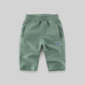Boys Casual Bermuda Shorts Bermudas Green 1-2 Y 
