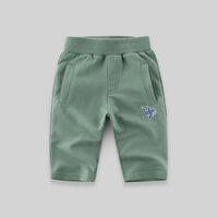Boys Casual Bermuda Shorts Bermudas Green 1-2 Y 