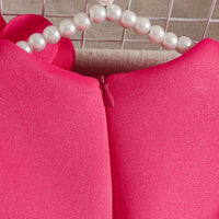 Girls Fuchsia Sleeveless Fit & Flare Party Wear Dress With Delicate Floral Appliques Party Dresses