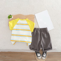Boys Lion Printed Raglan Sleeves T-Shirt With Grey Shorts Set 2 pc. Sets