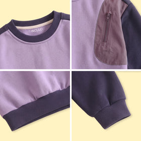 Boys Purple Colourblocked Long Sleeve Sweatshirt Sweatshirts & Hoodies