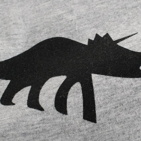 Boys All Over Dinosaur Print T-shirt Tshirts   