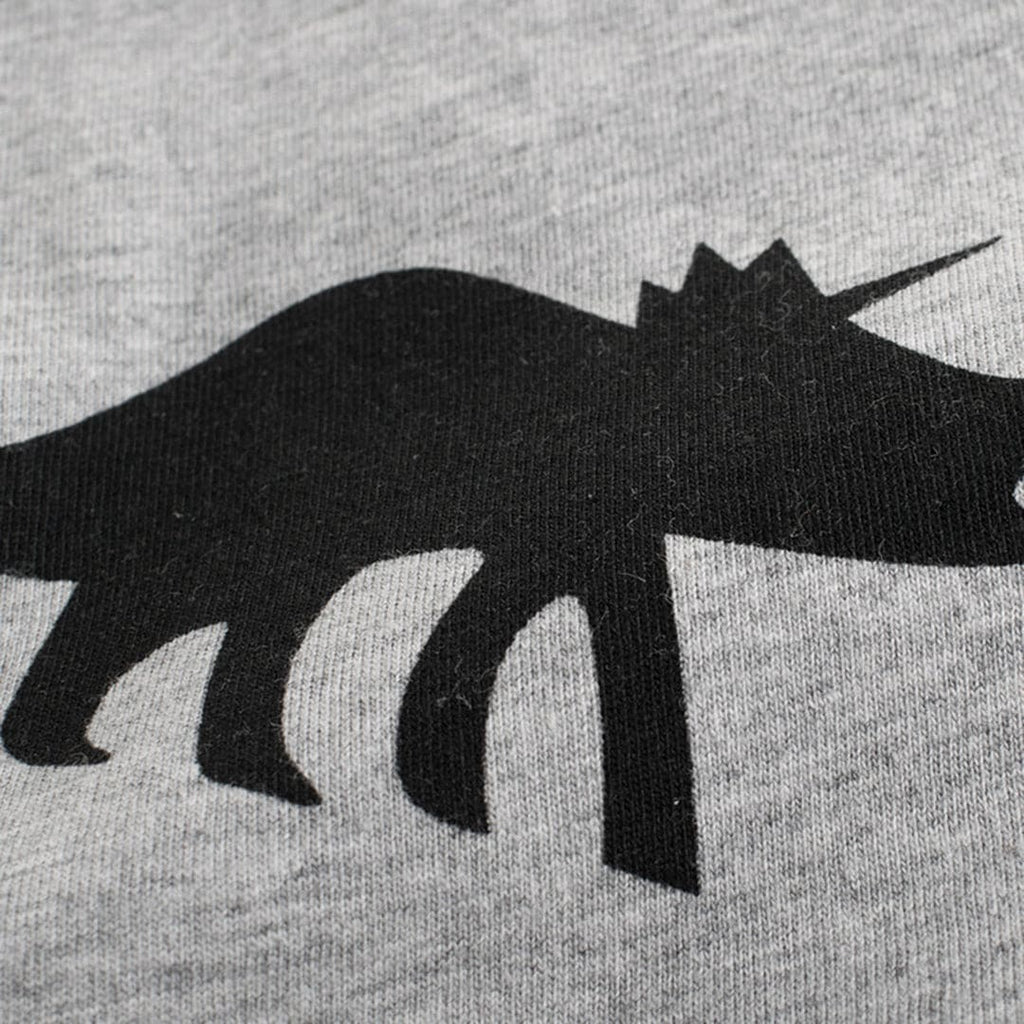 Boys All Over Dinosaur Print T-shirt Tshirts   