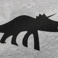 Boys All Over Dinosaur Print T-shirt Tshirts   