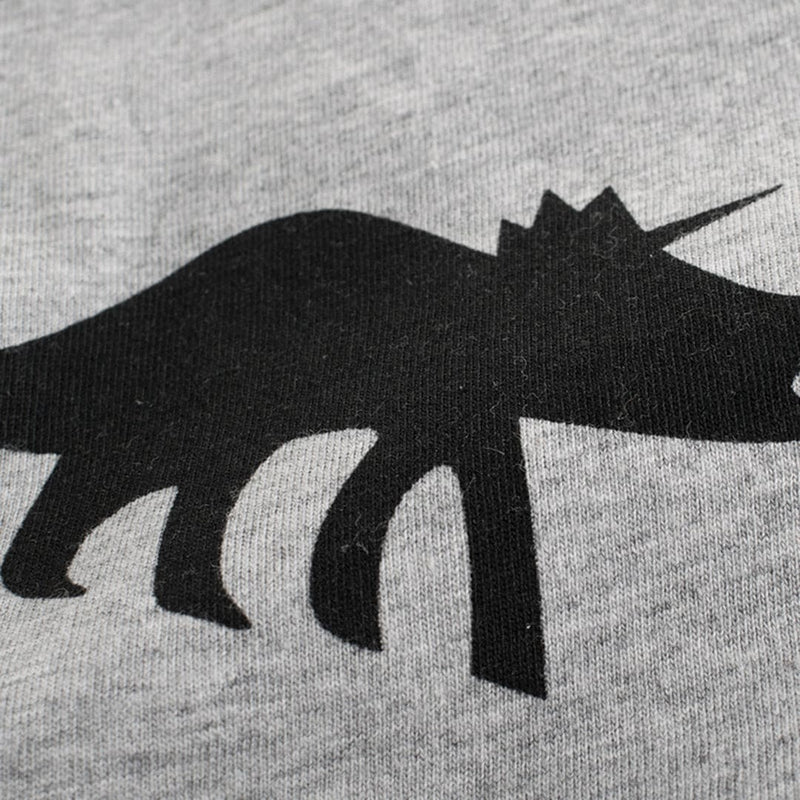 Boys All Over Dinosaur Print T-shirt Tshirts   