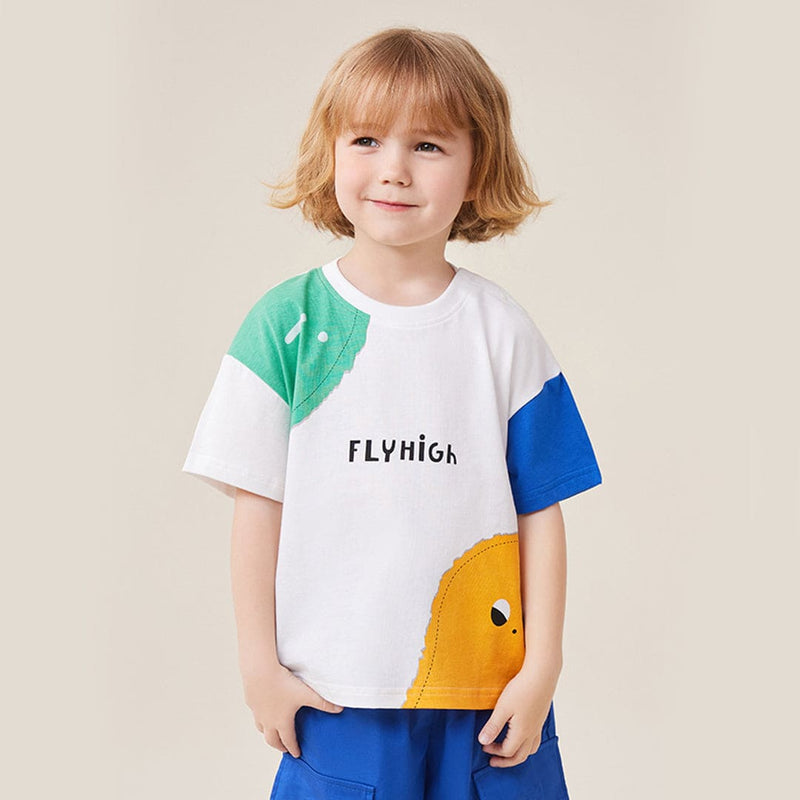 Boys Printed Oversized T-shirt Tshirts   
