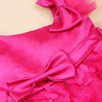 Girls Butterfly Applique Partywear Dress Gift Hamper Party Dresses