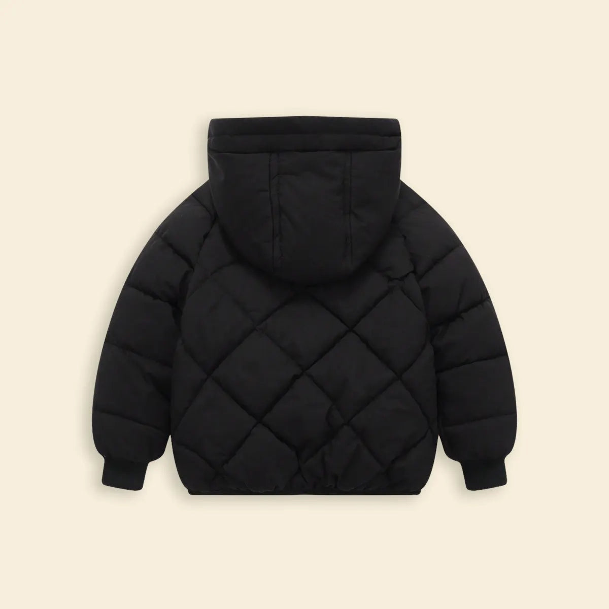 Boys Black Hooded Zip-up Puffer Jacket With Long Sleeves Coats & Jackets