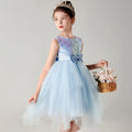 Girls Sky Blue Sequin Embellished Tutu Party Wear Dress Party Dresses Sky Blue 2-3 Y