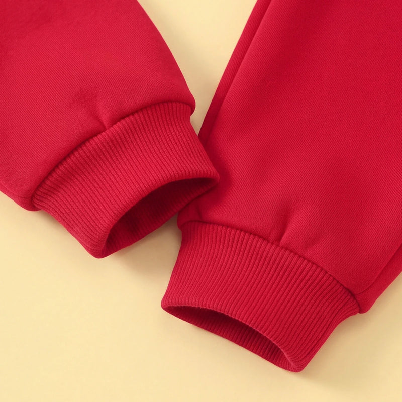 Boys Red Printed Hooded Sweatshirt with Joggers Set Sets