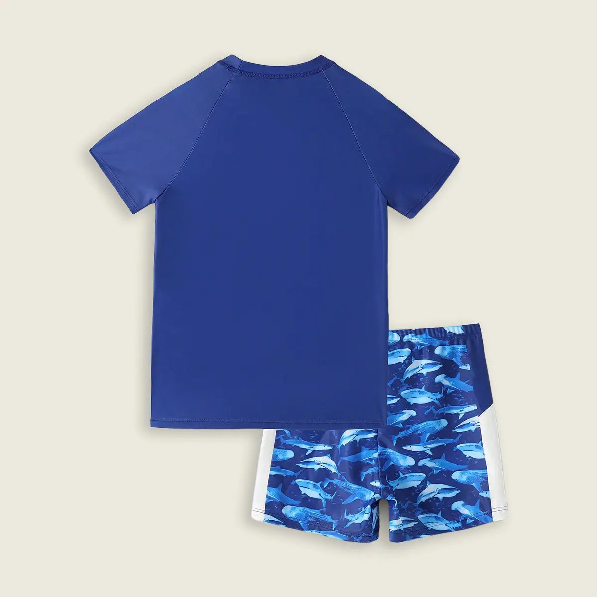 Boys Blue Fish Printed Short Sleeves T-Shirt & Shorts Swimsuit Sets Sets