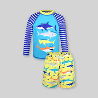 Boys Light Blue Fish Printed Long Sleeves T-Shirt & Shorts Swimsuit Sets Sets Light Blue 3-4 Y